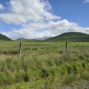 밀포드모텔 이미지