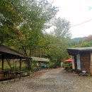 율림동산 | 서울근교당일치기 아이들과함께 대성리 율림동산 셀프바베큐장