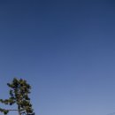 디스트릭트커피 이미지