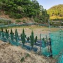 동대구농장 이미지