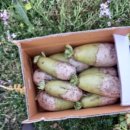 (주)농업회사법인 성산 이미지