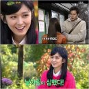 뉴힐링캠프