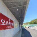카페본 | ☕세종카페 찾는다면? 직접 가본 오로라 카페 솔직 후기 ✨
