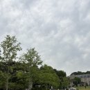 [26 고려대 대동제] 올크크도 아직 살아있어 Kulimax 1일차