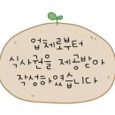 테마덮밥 이미지