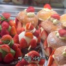 노티드대구빌리브헤리티지 이미지