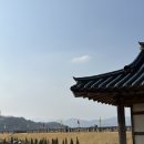 여행팡팡 | [청도여행팡팡지원]청도 후기 : 청도읍성에 다녀왔어요 !