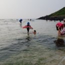 함덕환승정류장 이미지