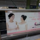 내눈에꽃 네이버블로그