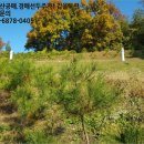 군포시보건소 버스정류소 이미지