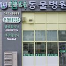 샘터동물병원 이미지