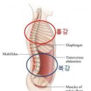 위너피트니스 이미지
