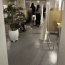 개쌀롱 | [홍대]서울 로테이션 소개팅 만남살롱 12:12 소개팅 솔직 후기, 꿀팁 공유