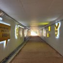 풀냄새꽃향기 이미지