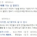 삼성해외여행주