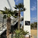 와흘리 1798 이미지