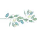 코루레(Korure) 이미지