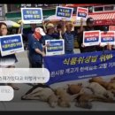 숙이농장 네이버블로그