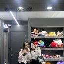 포토그레이고대안암점