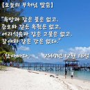 [노년(老年)의 아름다운 삶과 지혜(智慧)] 이미지