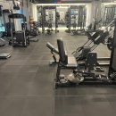 바디슬림헬스 이미지