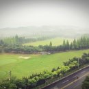 경주컨트리클럽 이미지