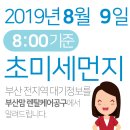 2019년 8월9일(금요일) 오전8:00 기준 부산전지역 초미세먼지 및 일일/주간 날씨정보 이미지