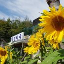 연당약국 이미지