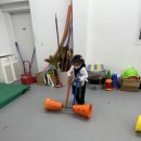 차돌태권도장 이미지