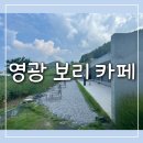 카페보리 | 영광 백수해안도로 카페 보리 솔직 후기