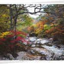 피아골 단풍공원 이미지