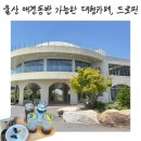 울산 언양 대형카페 드로핀, 아이랑 애견동반하기 좋았던 숲뷰 카페