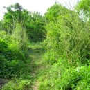 꼬꼬네농장 이미지