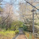 의류제작 및 수선리폼 | [마리의세계]진주목걸이 리폼 수선 끊어진목걸이수리 뒷장식 교체 후기