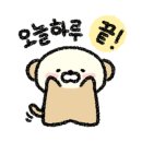 숙이네수선 - 용산구 이태원로14길 27 | 숙이네수선