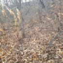 젤미주공6단지아파트 이미지