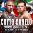 빅매치복싱 이미지