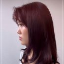 별헤어시티