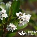 (주)상록조경 이미지