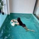 리리스테이 이미지