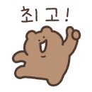 서울고양이미용실 이미지
