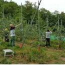 장수군청 이미지