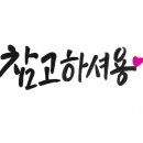네덜란드꿩만두