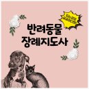 현화동물병원 | 반려동물장례지도사 단번에 붙고 싶다면!