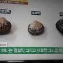 지방배출,새꼬막/천기누설/기치유센터/기수련/기치료/자연요법/대체의학/병명없는병/힐링 이미지