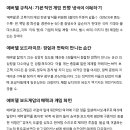 강남여관 | 에버델 보드게임 후기 – 감성과 전략의 조화