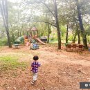 겨리농장 이미지