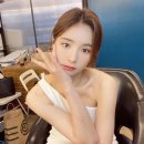 고일 이미지