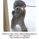 (주)소소습관