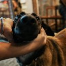 스와브호텔 이미지